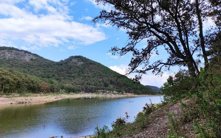 Restauran bosques para garantizar abastecimiento de agua - El Sol de  Irapuato | Noticias Locales, Policiacas, de México, Guanajuato y el Mundo